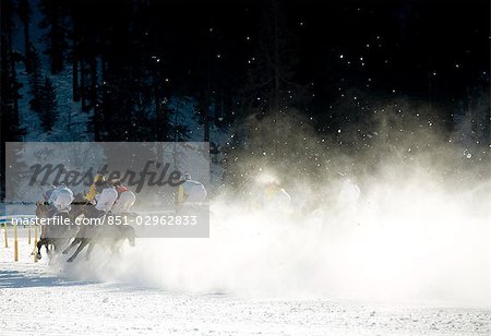 Falat racers, St Moritz, Suisse