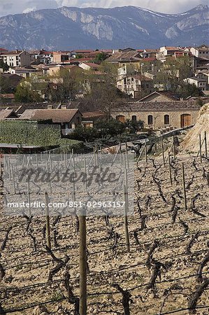 Weingarten mit Elciego Stadtansicht im Hintergrund, Rioja, Spanien