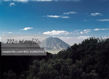 Donnant sur la forêt sur le cratère de Embakai à Ol Donyo Lengaï (Afrique de l'est seulement volcan), Tanzanie.