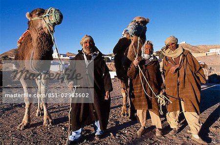 Berber cameliers,Matmata,Southern Tunisia.