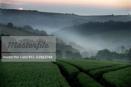 Lever du soleil sur les collines, Devon, Angleterre