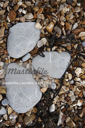 Steine am Strand der Jurassic Coast, England