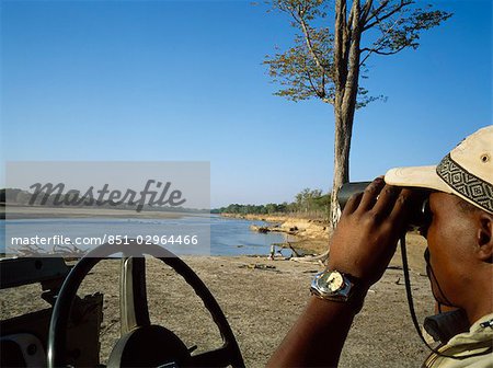 Guide de Safari à la recherche, jumelles, Luwanga Valley National Park, Zambie