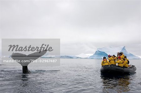 Menschen in Zodiac Boot Walbeobachtung, Antarktis