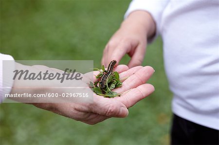 Mother Showing Her Daughter a Caterpillar