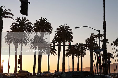 Silhouette of Palm Trees on Santa Monica Boulevard, Santa Monica, California, USA