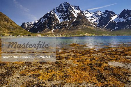 Scenic View, Austnesfjorden, Lofoten, Norway