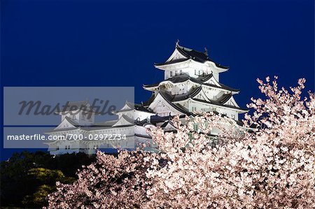 Arbre de la cerise, du château de Himeji, Himeji, préfecture de Hyogo, région de Kinki, Honshu, Japon