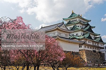 Nagoya Castle, Nagoya, Aichi Prefecture, Chubu, Japan