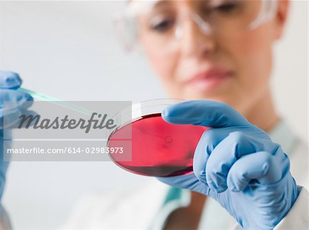 Female scientist holding a petri dish