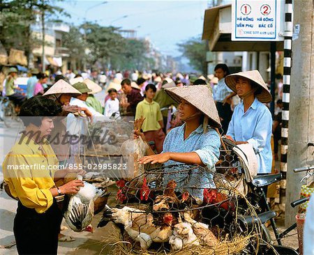 Poulet à la vente à une ville de marché, Vietnam