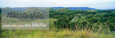 Chocolate Hills