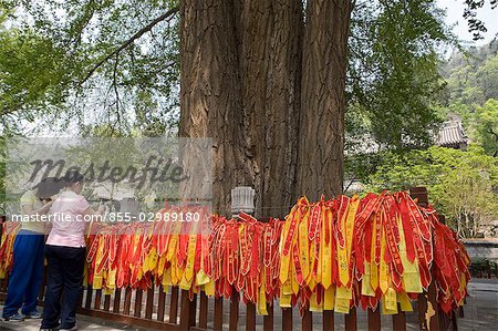 Femmes faisant des vœux, Tanzhesi Temple, environs de Beijing, Chine