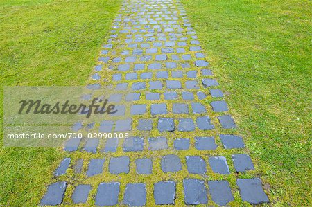 Gepflasterten Fußweg durch Wiese