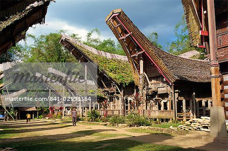 Toraja houses and granaries, Toraja area, Sulawesi, Indonesia, Southeast Asia, Asia