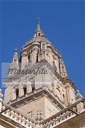 Le Christian Catedral Nueva (nouvelle cathédrale) datant du XVIe siècle, Salamanque, Castille-Leon (Castille), Espagne, Europe