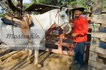 Horses, Hacienda Guachipelin, near Rincon de la Vieja National Park, Guanacaste, Costa Rica, Central America