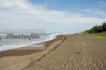 Tortuguero Beach, Caribbean Coast, Tortuguero National Park, Costa Rica, Central America