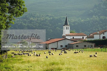 Countryside near St. Jean Pied de Port, Basque country, Pyrenees-Atlantiques, Aquitaine, France, Europe