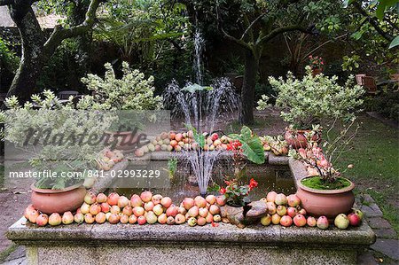 Fontaine avec pommes, Saint Jacques de Compostelle, Galice, Espagne, Europe
