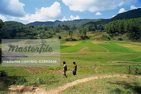 Agricultural landscape with two figures walking through fields, Toraja area, island of Sulawesi, Indonesia, Southeast Asia, Asia