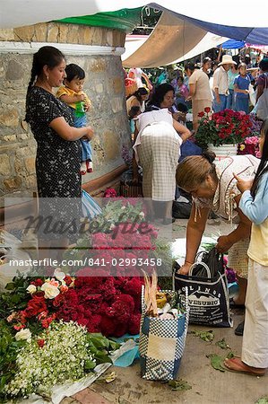 Market day at Zaachila, Oaxaca, Mexico, North America