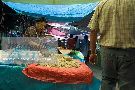 Market day at Zaachila, Oaxaca, Mexico, North America