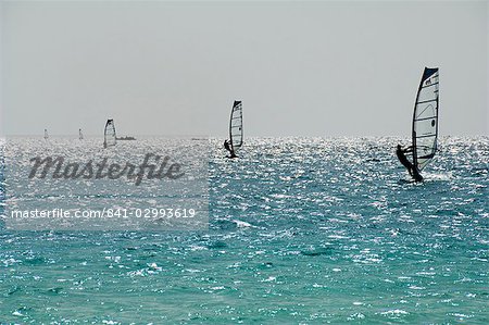 Windsurfen in Santa Maria auf der Insel Sal (Salz), Kapverdische Inseln, Afrika