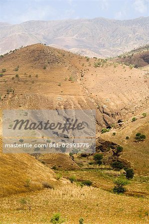 Campagne sur le chemin vers le volcan, Fogo (feu), îles du Cap-vert, Afrique