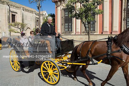 Horse and carriages in Santa Cruz district, Seville, Andalusia, Spain, Europe