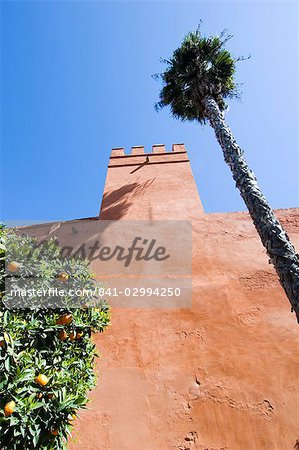 Les jardins de l'Alcazar Real, le quartier de Santa Cruz, Séville, Andalousie (Andalucia), Espagne, Europe