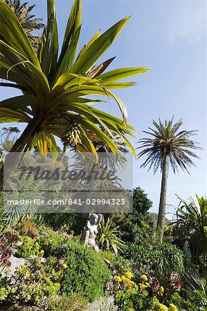 The Abbey Gardens, Tresco, Isles of Scilly, off Cornwall, United Kingdom, Europe