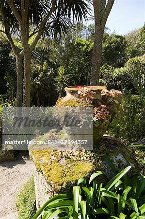 Les jardins de l'abbaye, Tresco, Sorlingues, Cornwall, Royaume-Uni, Europe