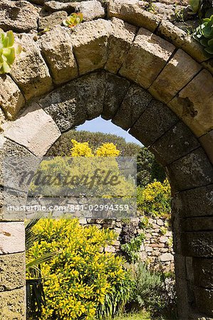 Les jardins de l'abbaye, Tresco, Sorlingues, Cornwall, Royaume-Uni, Europe
