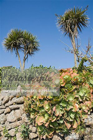 Bryer (Bryher), Isles of Scilly, off Cornwall, United Kingdom, Europe