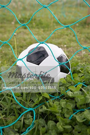 Soccer Ball and Net