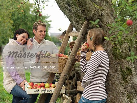 Menschen pflücken Äpfel in Körben