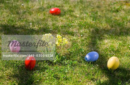 easter eggs,spring flowers in grass