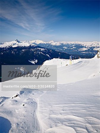 Ski Trail, Whistler Mountain, Whistler, British Columbia, Canada