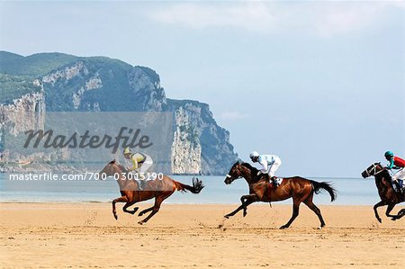 Cheval De Course Sur La Plage Laredo Cantabria Espagne