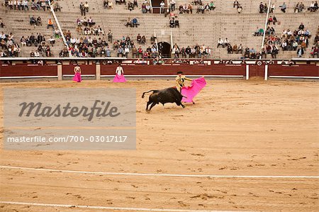 Matador and Bull, La Plaza de Toros de Las Ventas, Madrid, Spain