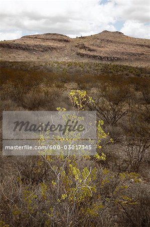 Route 90 et paysage, Texas, USA