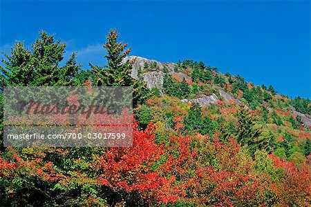 Grandfather Mountain in Herbst, North Carolina, USA