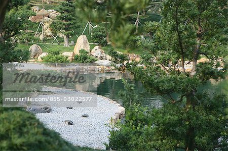Pond,Chi Lin Nunnery chinese garden,Diamond Hill,Hong Kong