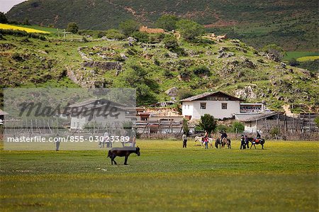 Cheval d'équitation pour touriste à Shangri-La, Yunnan, Chine