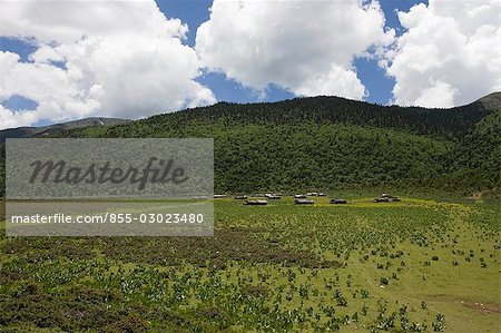 Vue des Prairies de Simone, Shangrila, Chine