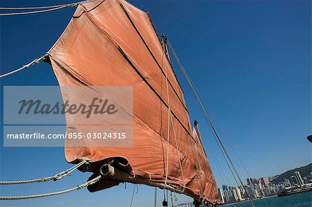 Chinese junk Dukling in Victoria Harbour with Causeway Bay skyline at background