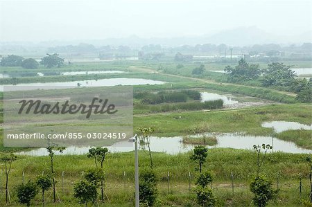 Terres agricoles à Lok Ma Chau, nouveaux territoires, Hong Kong