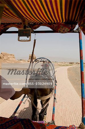 Donkey carriage running in Gaochang Ruins & Flaming Mountain,Turpan,Xinjiang Uyghur Autonomy district,China