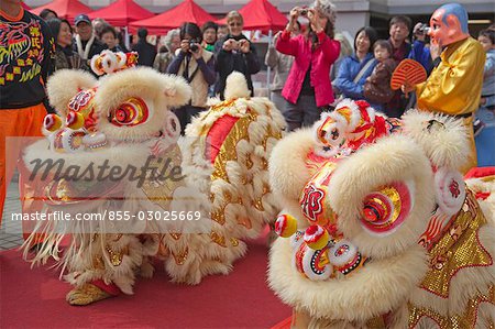 Lion dance celebrating the Chinese New Year,Hong Kong